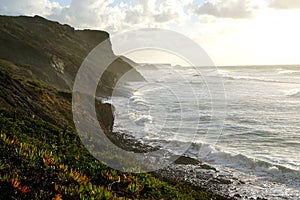 Wild coast in Portugal