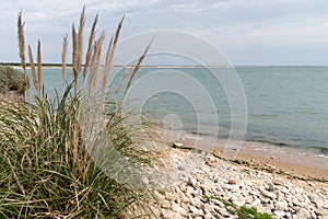 Wild coast vendÃ©e of Jard sur mer in Vendee France