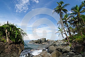 Wild Colombian Caribbean coast near Capurgana photo