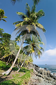 Wild Colombian Caribbean coast near Capurgana photo