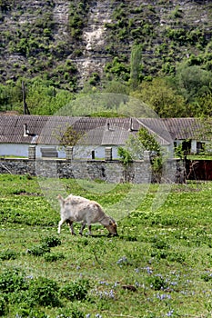 Wild countryside and farming Moldova