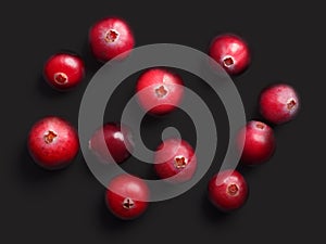 Wild cranberries, top view, paths