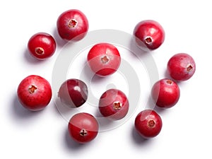 Wild cranberries, top view, paths