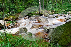 Wild creek