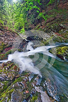 Wild creek in Kvacianska dolina valley in Chocske vrchy mountains