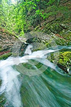 Wild creek in Kvacianska dolina valley in Chocske vrchy mountains