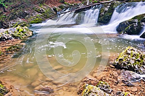 Wild creek in Kvacianska dolina valley in Chocske vrchy mountains