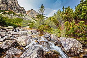 Wild creek in The Mlynicka Valley at late autumn period