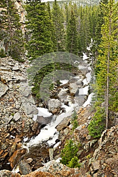 A wild creek in Rocky mountains