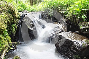 Wild Creek Waterfall in the Forest with Green Vegetation