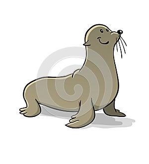 Wild cute sealion