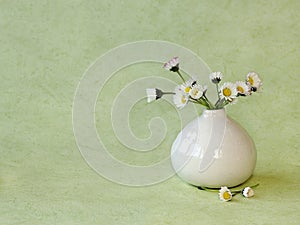 Wild daisies in a little vase