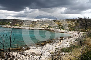 Wild Dalmatian coast