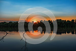 Wild Danube delta colorful sunset, tree in the water