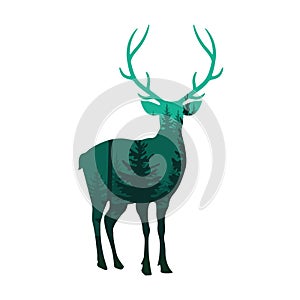 Wild deer in forest vector illustration. Silhouette of nature.
