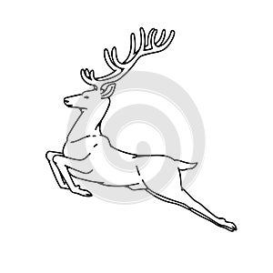 Wild deer male buck with branched horns jumped view profile vector outline black white sketch illustration.