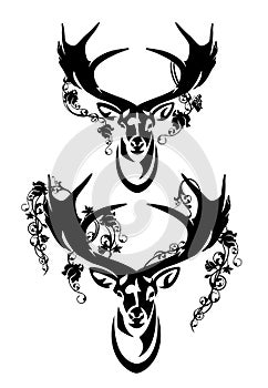 wild deer stag head among rose flowers black and white vector outline