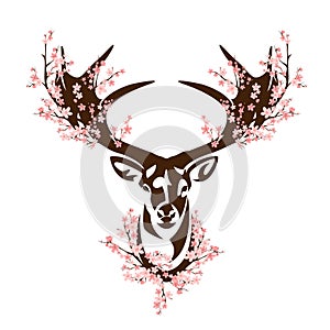 wild deer stag head among sakura flower branches vector outline