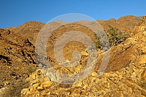 Wild desert-like landscape in the Richtersveld