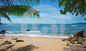 Wild deserted beach. Phuket, Thailand