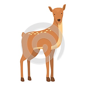 Wild doe icon cartoon vector. Forest animal