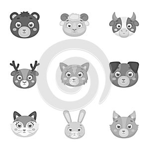 Wild and domestic animals. A set of pictures about animals. Animal muzzle icon in set collection on monochrome style