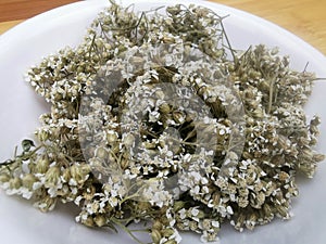 Wild Dried Yarrow Flowers Herbal Tea. Herbalism. Naturopathy. photo