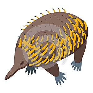 Wild echidna icon isometric vector. Nature animal