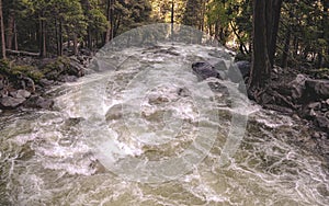 Wild Enlarged River, White Water Rapids Surrounded by Forests, Beautiful Nature