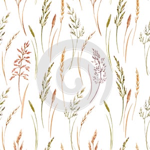 Wild field grass vector pattern