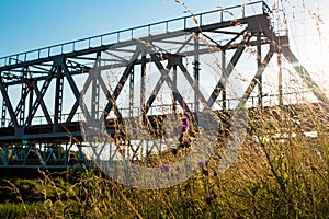 Wild field herbs and flowers against the background of the metal structure of the old railway bridge