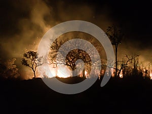 Wild fires photo