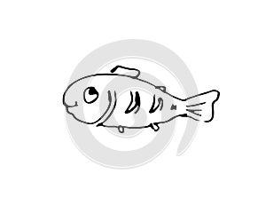 Wild fish. Aquatic animal character. Underwater world. Outline sketch. Hand drawing is isolated on a white background photo