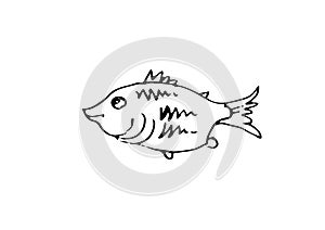 Wild fish. Aquatic animal character. Underwater world. Outline sketch. Hand drawing is isolated on a white background photo