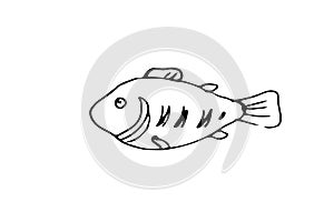 Wild fish. Aquatic animal character. Underwater world. Outline sketch. Hand drawing is isolated on a white background photo
