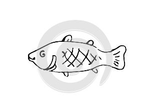 Wild fish. Aquatic animal character. Underwater world. Outline sketch. Hand drawing is isolated on a white background photo