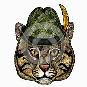 Wild fishing cat portrait. Animal face. Animal with tirol hat. Traditional headdress.