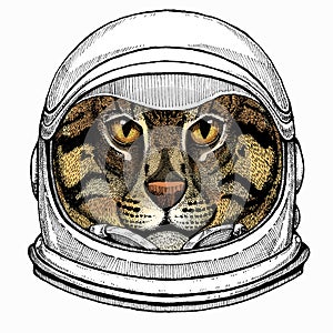 Wild fishing cat portrait. Animal face. Astronaut animal. Vector portrait. Cosmos and Spaceman. Space illustration about