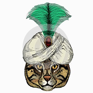 Wild fishing cat portrait. Animal and wizard hat. Sorcerer and magican