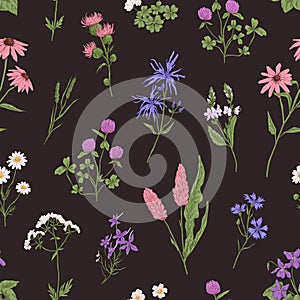 Wild flower pattern on black background. Seamless botanical texture with wildflowers, herbs and floral plants in retro