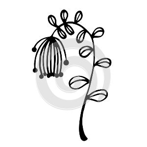Wild flower vector icon. Hand-drawn illustration isolated on white background. A twig with veined leaves