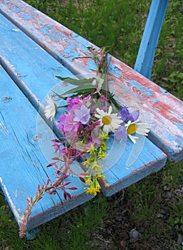 Wild flowers on bench