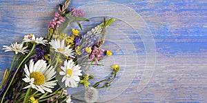 Wild flowers on blue wooden deck background chamomile lupine dandelions thyme mint bells rape