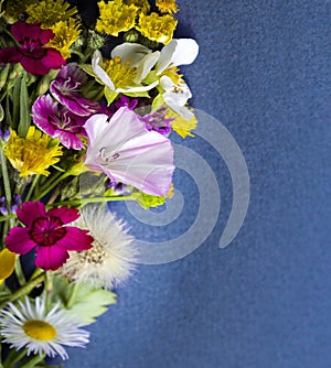 Wild flowers bouquet on blue background