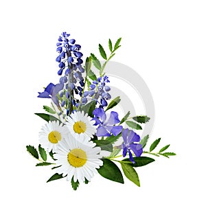 Wild flowers bouquet in blue color in a corner floral arrangement isolated on white background
