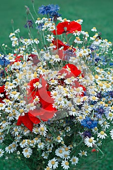 Wild flowers bouquet with daisies and cornflowers.