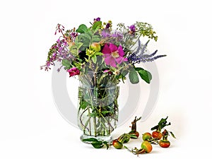 Wild flowers bouquet  rose hip petal colorful pink green yellow blue in glass vase and rose hip berry on white background