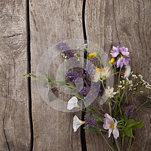 Wild flowers bouquet on wooden old grunge background chamomile lupine dandelions thyme bells rape