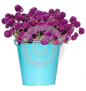 Wild flowers in bucket