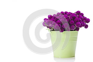 Wild flowers in bucket isolated